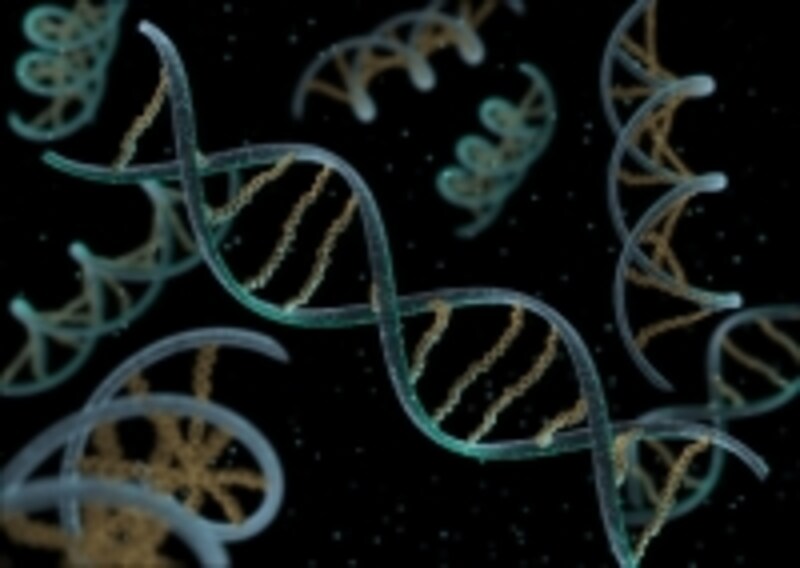 DNAは2重のらせん構造をしています