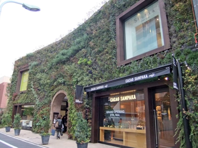 壁面緑化の建物が目印