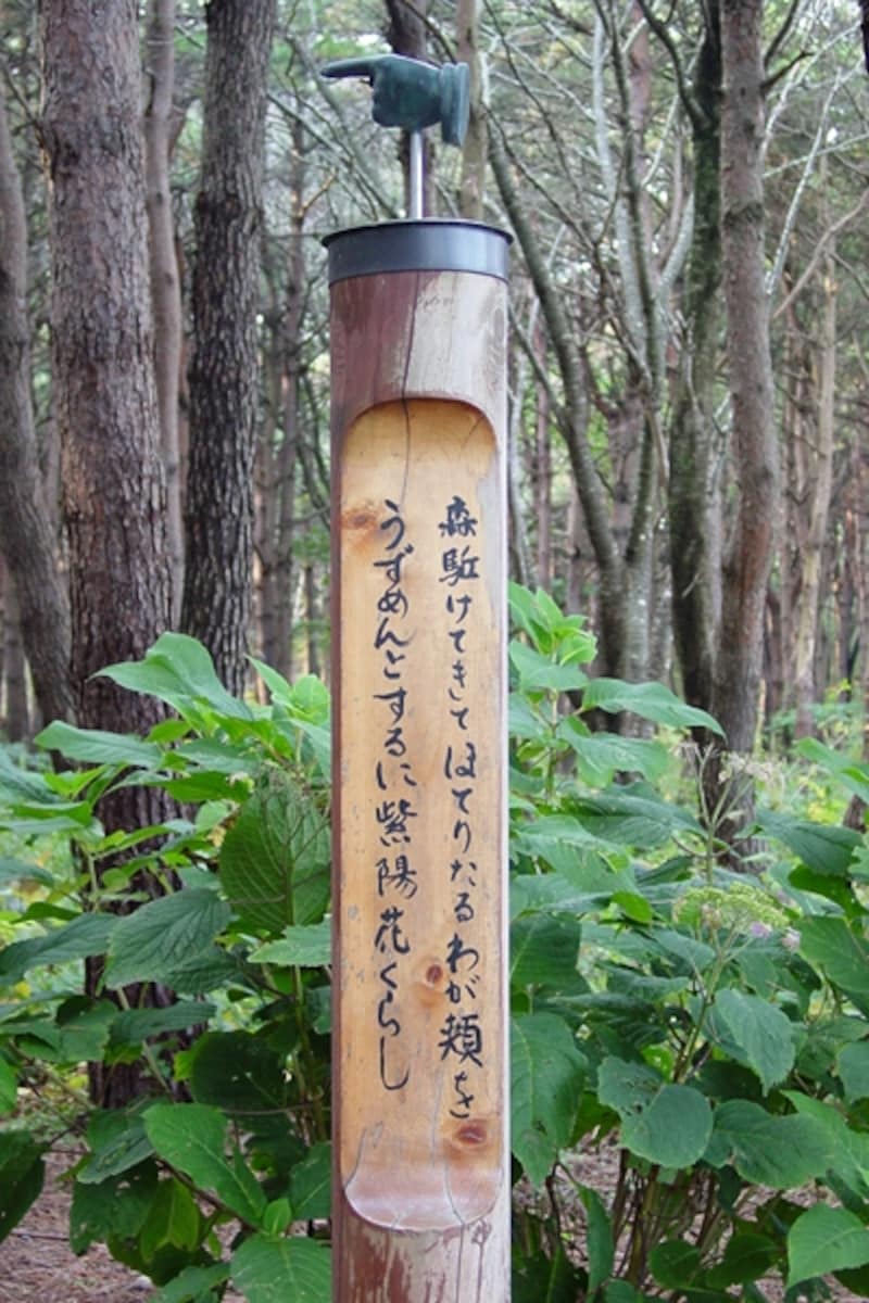 遊歩道に並ぶ「短歌の道標（みちしるべ）」
