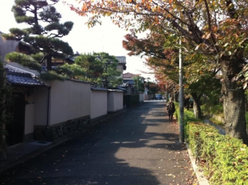 松ヶ崎戸建て街、緑が多い