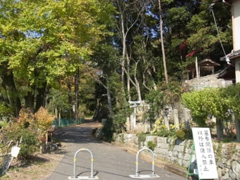 山も近い松ヶ崎