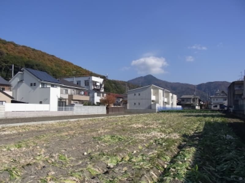 畑も多い松ヶ崎