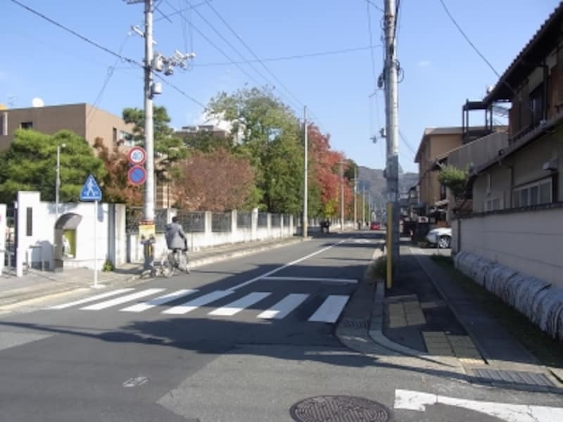 京都工芸繊維大学