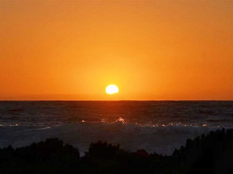 ワイキキトロリーでは、東海岸をめぐる初日の出ツアーを開催