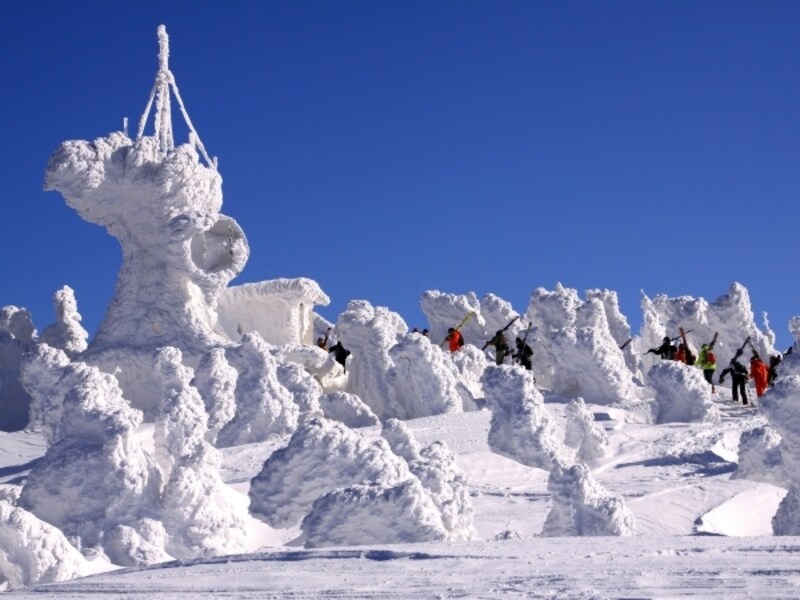 八甲田山スノーモンスター