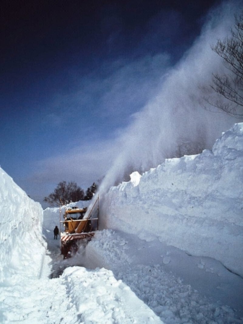 雪の回廊