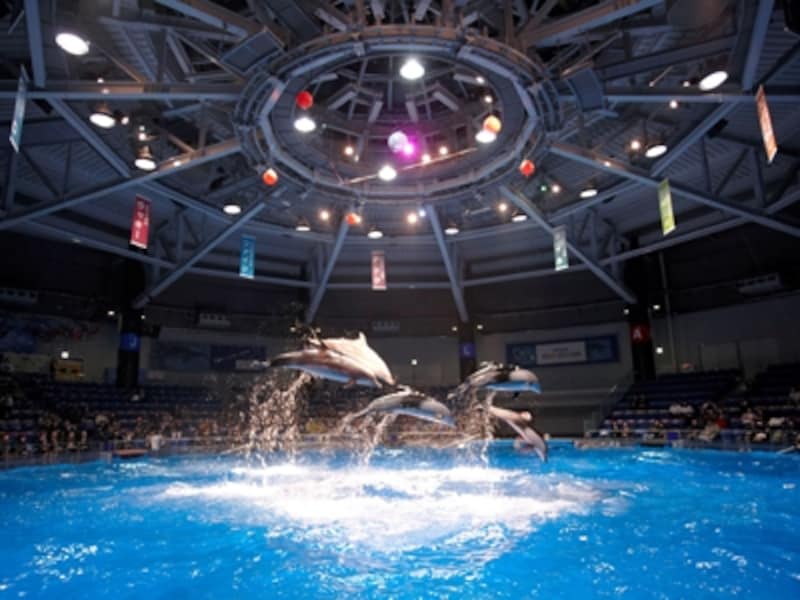 エプソン 品川アクアスタジアム