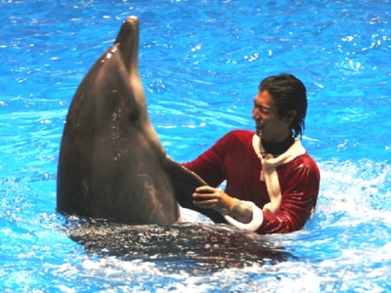 エプソン 品川アクアスタジアム