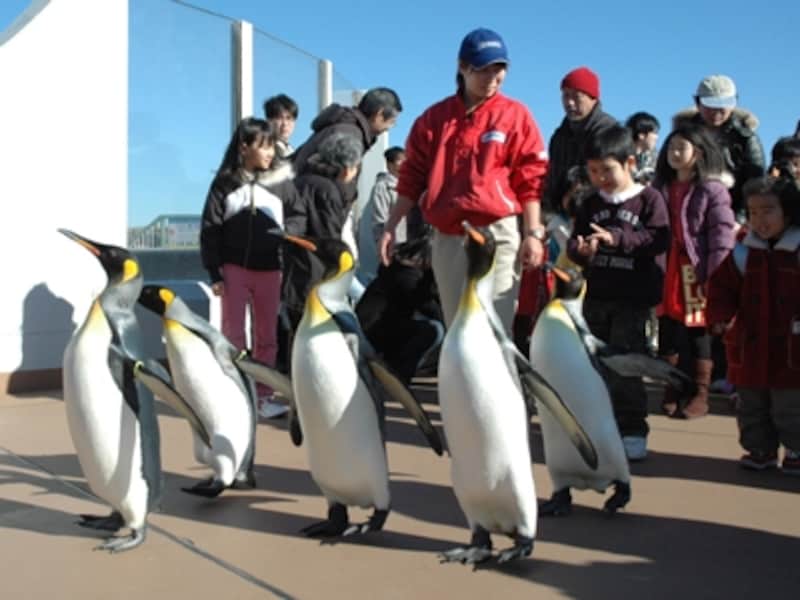 鴨川シーワールド