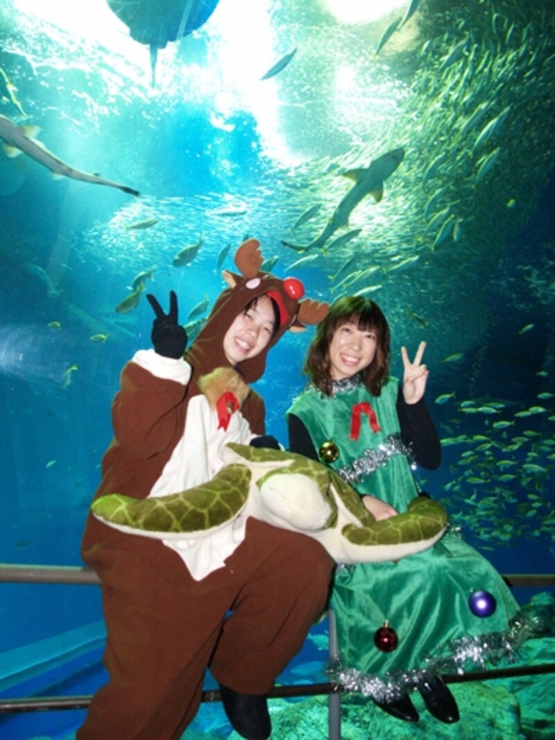 アクアワールド・大洗