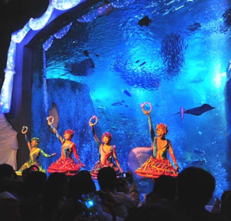 新江ノ島水族館