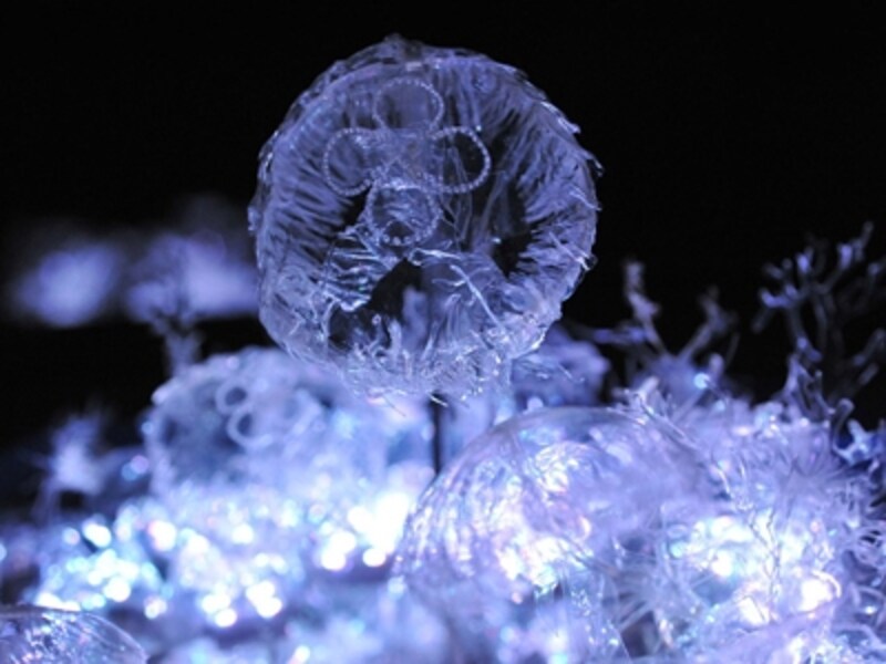 新江ノ島水族館