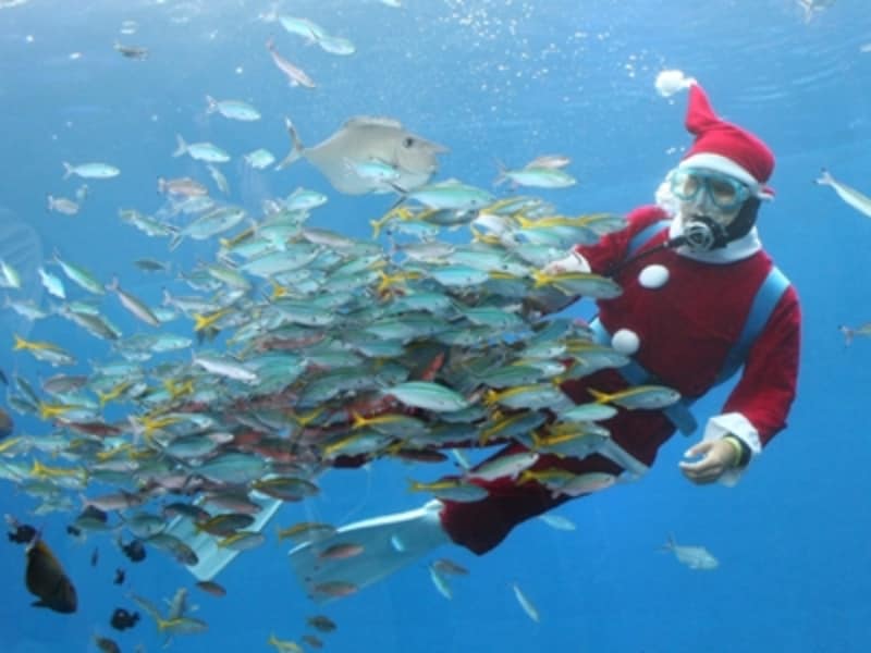 横浜・八景島シーパラダイス