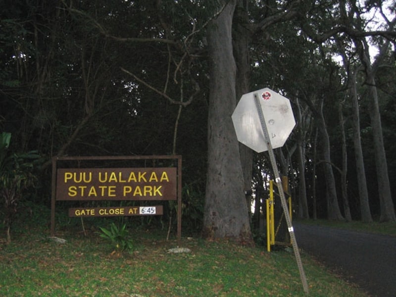 この看板が公園入口の目印。こちちを左折