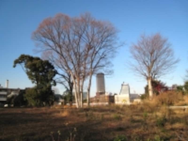 代官山の空き地