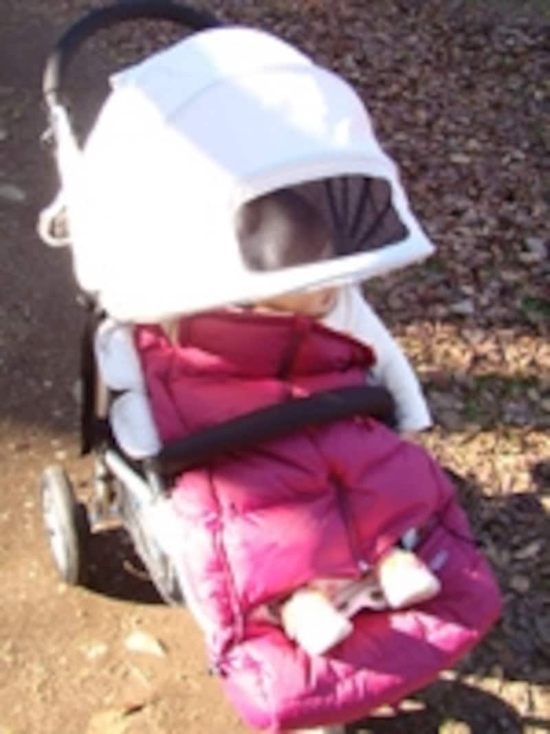 きちんと日差しを遮りながら、上方の景色が楽しめるメッシュウインドウ