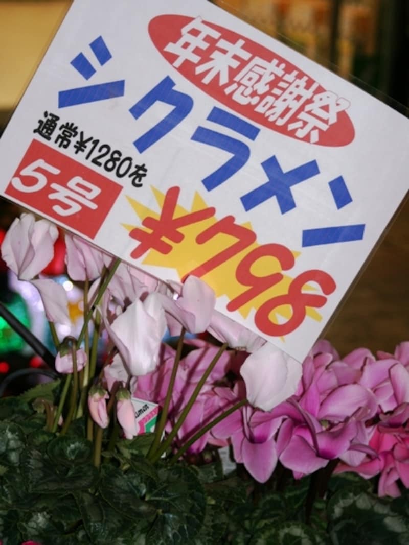 ザ・ガーデン横浜