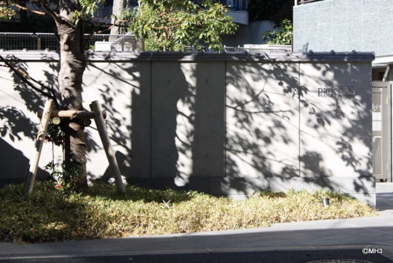 瀟洒な門構え。高い建物が南になく、真冬の午前中もこんなに明るい