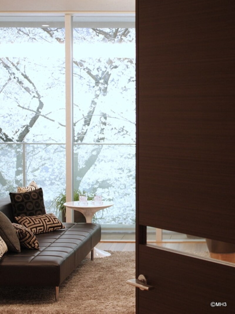 桜の借景、約2.5mのフルハイトサッシュ