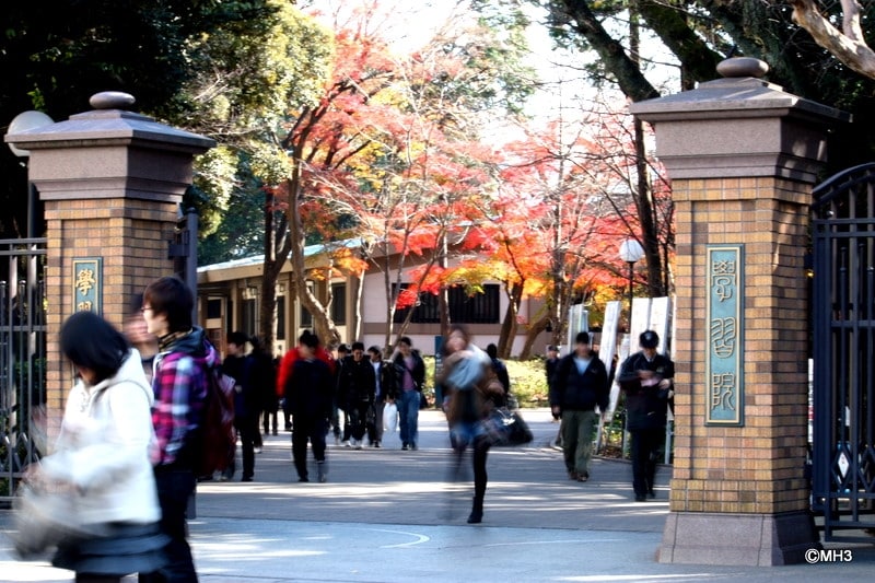 自然豊かな学習院キャンパス