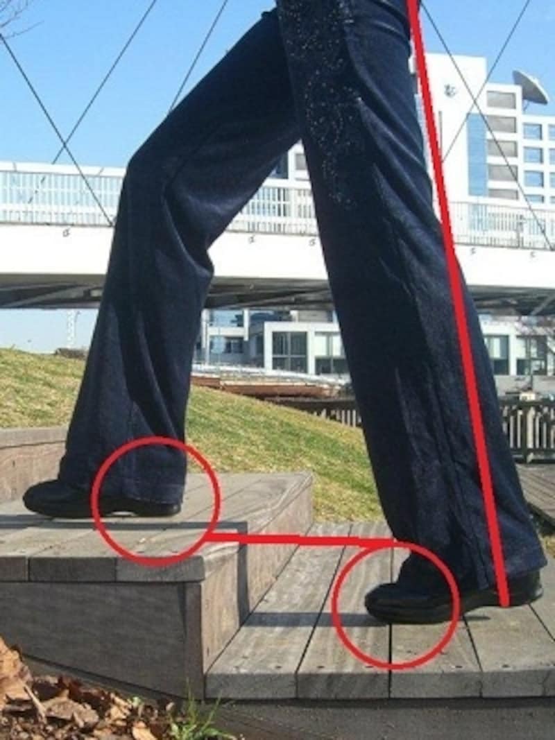 後ろ脚で身体を前に