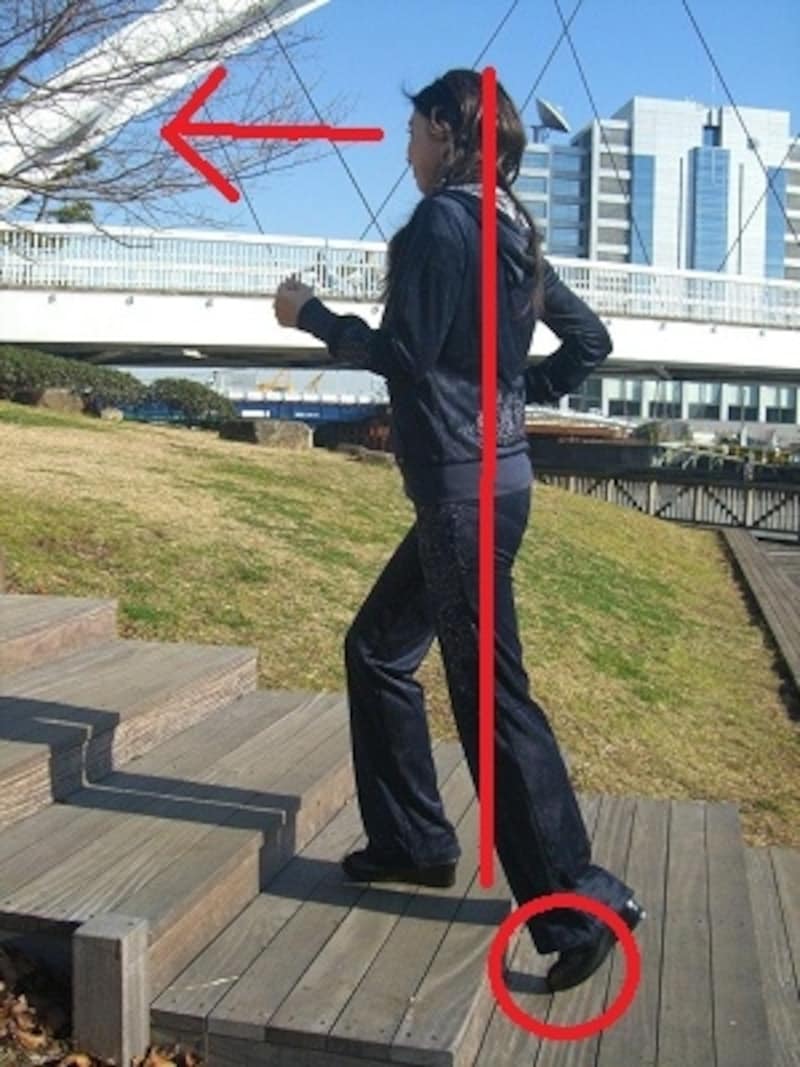 正しい昇り方は姿勢もまっすぐ