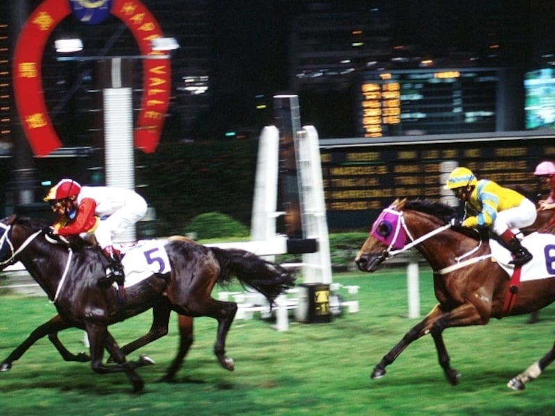 普通席での観戦もできる