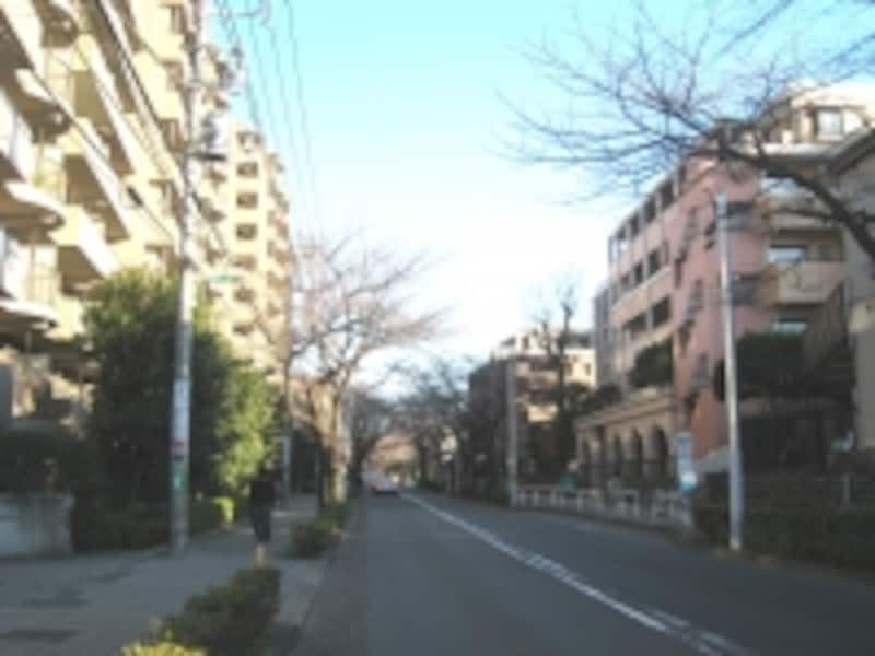 千歳通り沿いのマンション