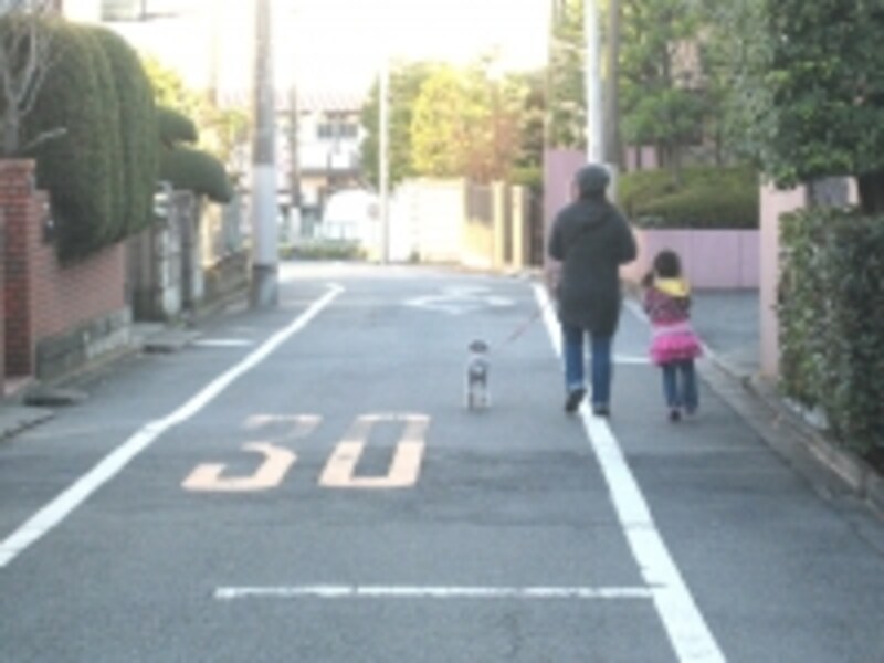 子ども、犬と散歩