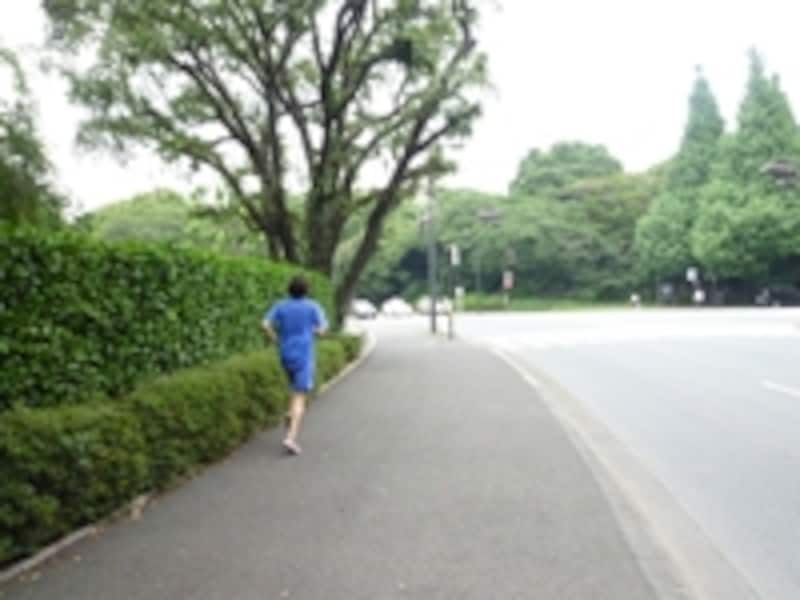神宮外苑周回コースは「瀬古ロード」の異名もある伝統コースだが空いている
