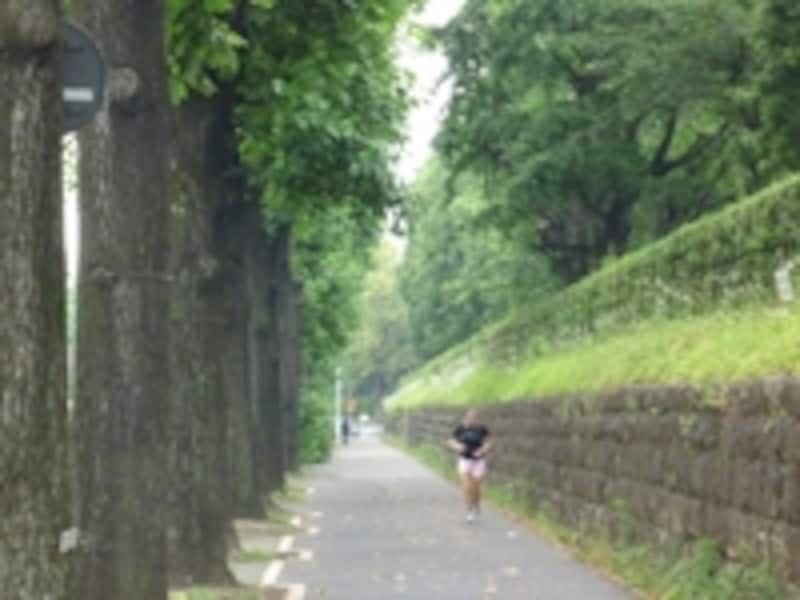 赤坂離宮周回コースも空き空き