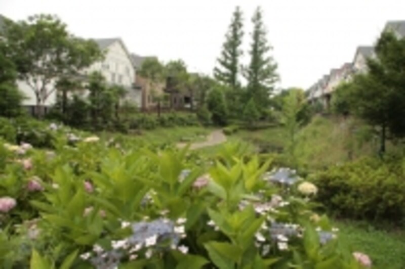 住宅街内の公園