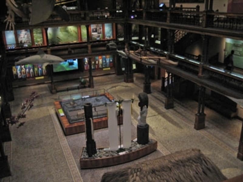 ハワイ王国の美術品や写真など貴重なコレクションを展示するビショップ博物館