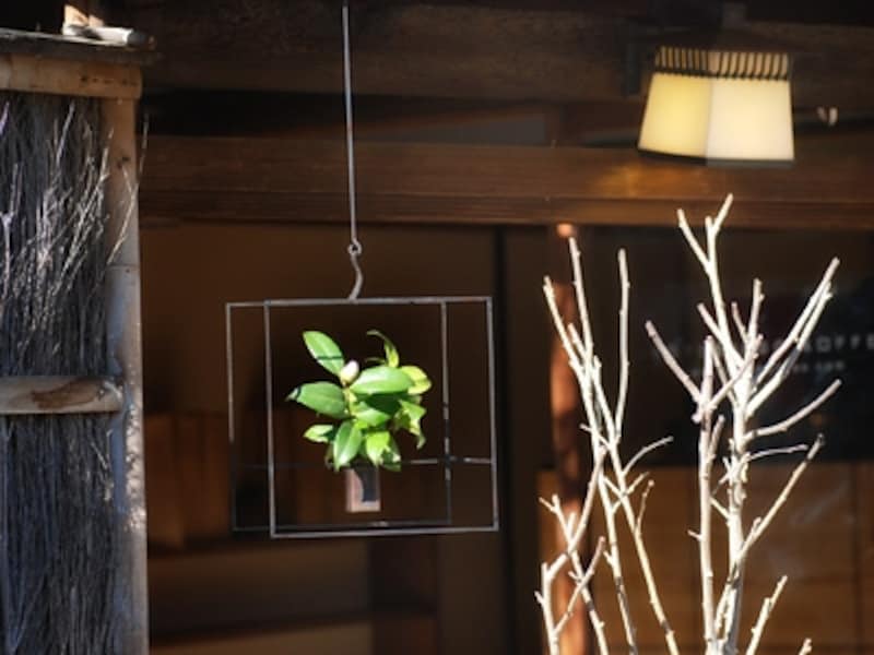 門の軒下にも風情豊かなキューブがありました！