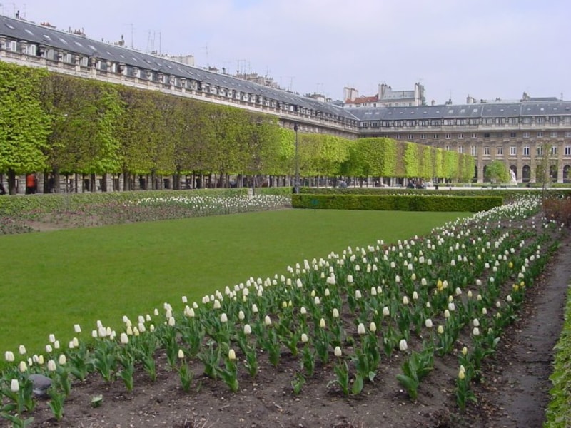 パレ・ロワイヤル