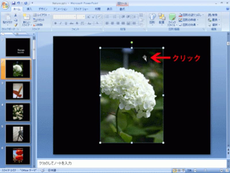 スライドに入れた写真であれば、どの写真でもかまわない