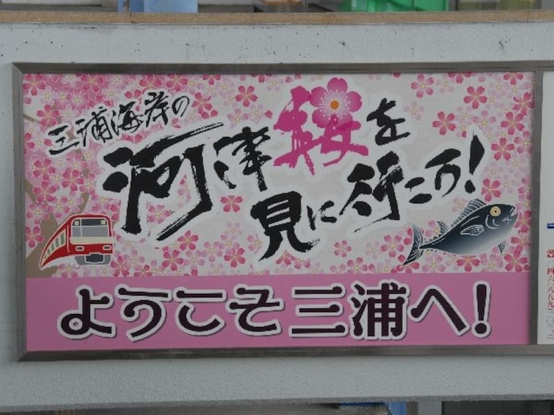 河津桜まつりポスター