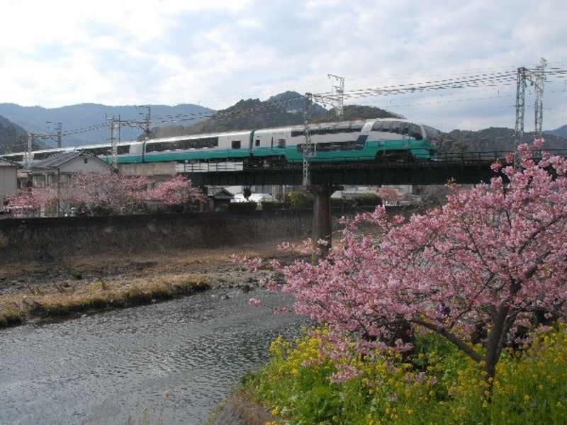 スーパービュー踊り子