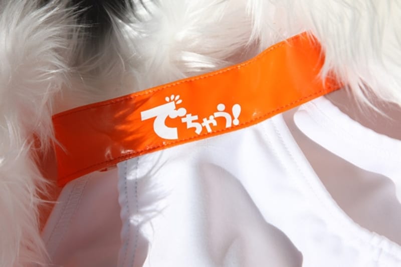 2011年DGRQコスチューム