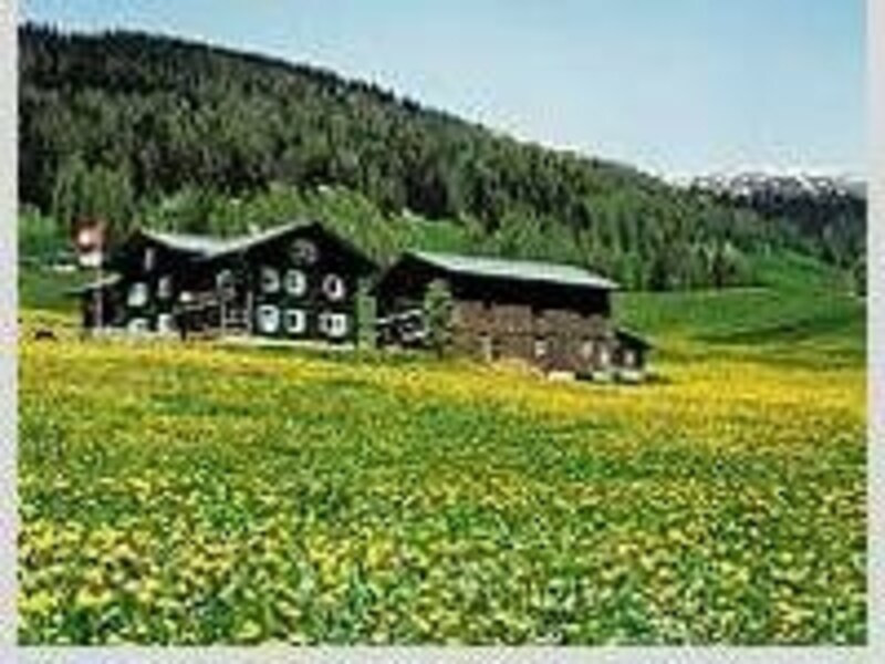 ５月のスイスイメージ