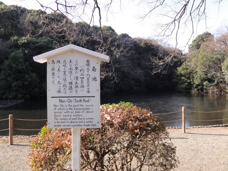 鯉がたくさん泳いでいた