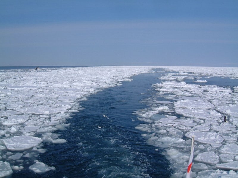 流氷観光砕氷船「おーろら」の航跡