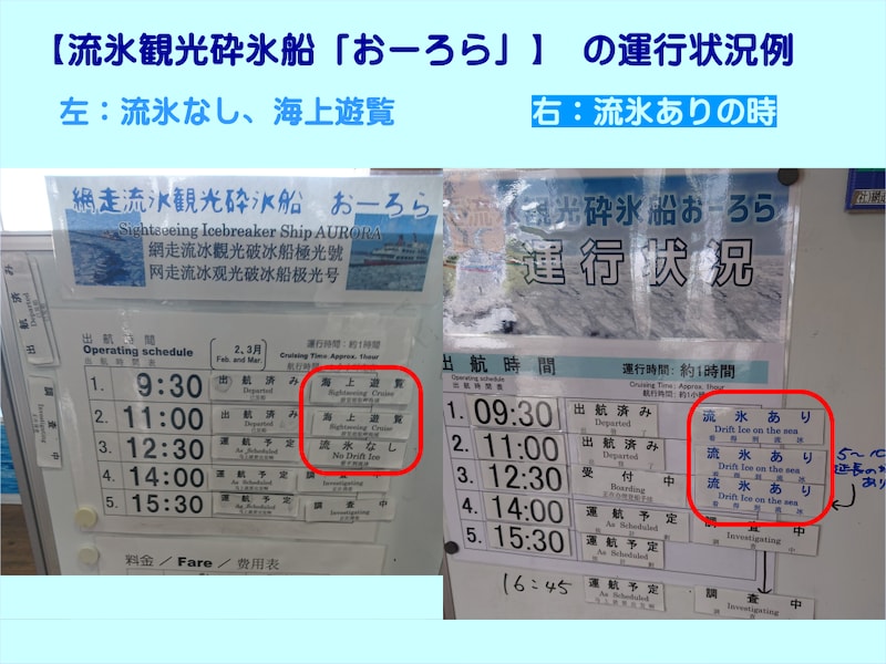 流氷観光砕氷船「おーろら」の運行状況例