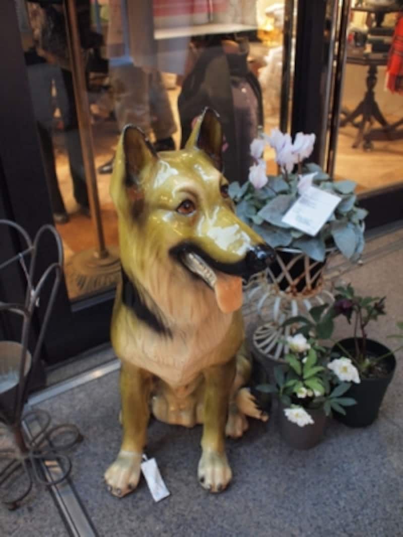 E-PL2 実写画像01