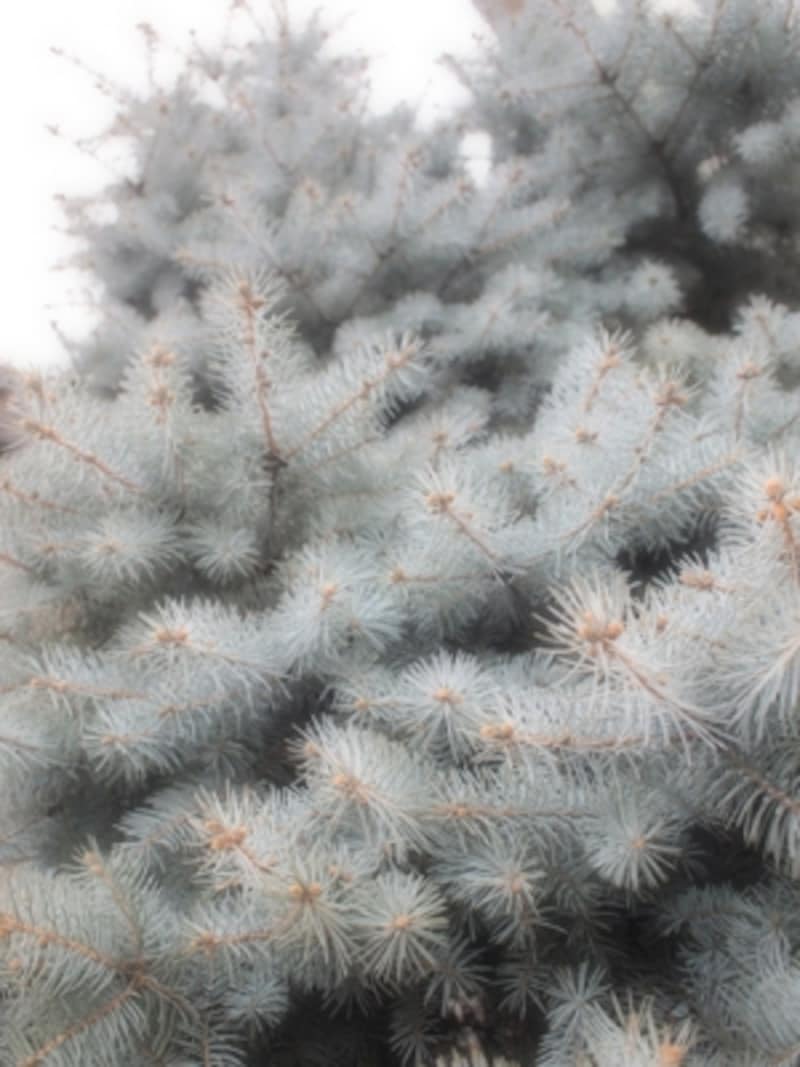 E-PL2 実写画像15