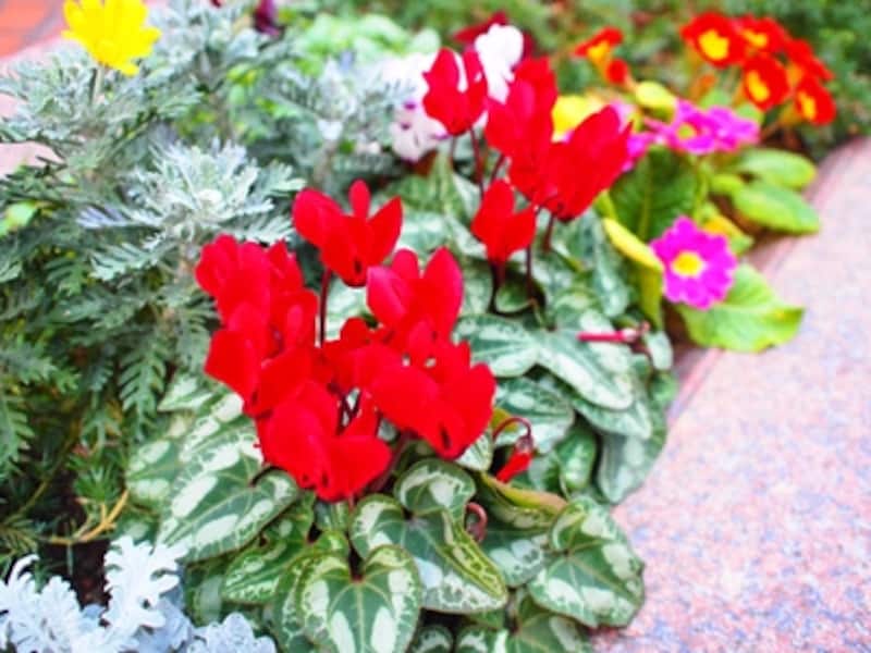 E-PL2 実写画像17