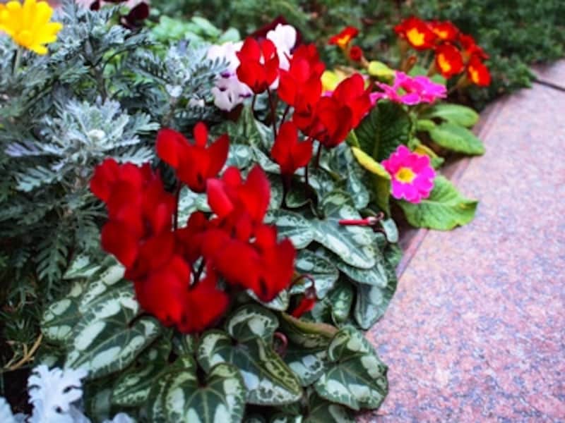 E-PL2 実写画像18