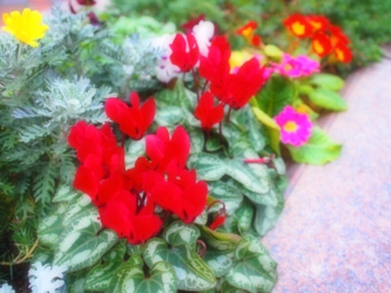 E-PL2 実写画像19