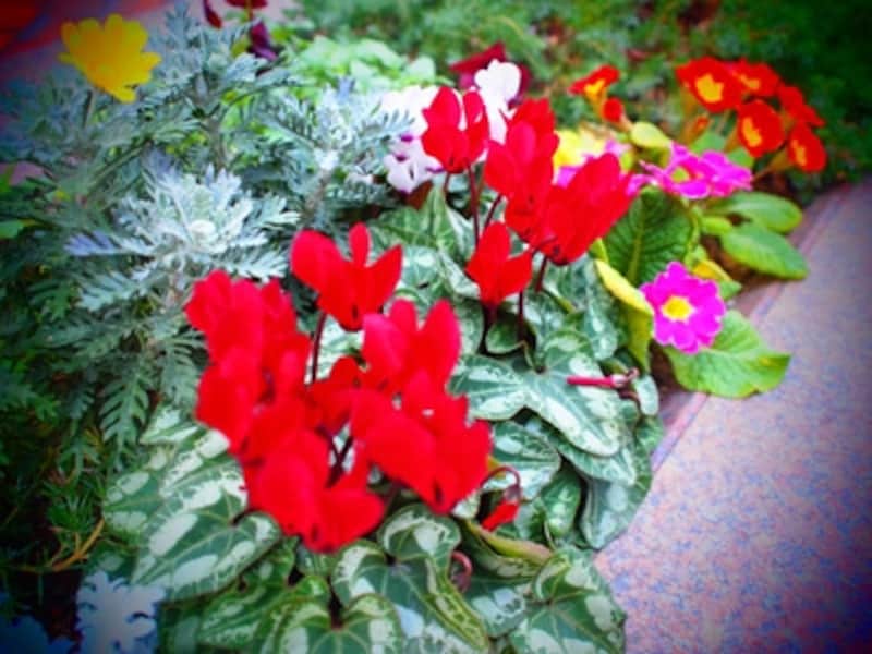 E-PL2 実写画像20