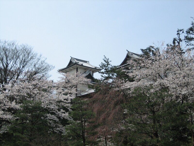 兼六園下から見た金沢城の石川門